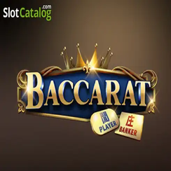 ব্যাকারেট C08 - bdbet